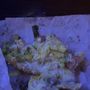 Photo of Frank's Pizza II
