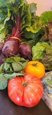 Bloomfield Saturday Market by null