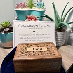 Pet Angel Memorial Center - My dog Lulu's ashes in a wooden box urn
