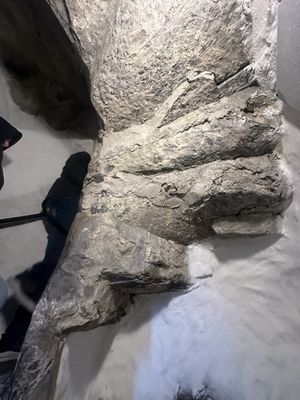 Donegal Castle by null