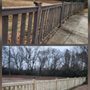 Photo of The Art Of Lawn Care