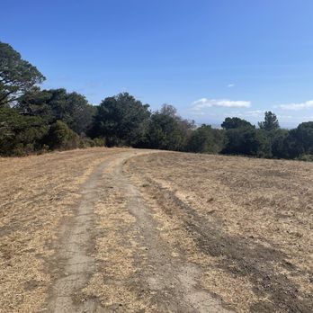 Gum Grove Nature Park - Beautiful for a walk. - Hiking Near Me - Seal Beach, California
