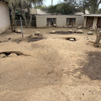 Phoenix Herpetological Society - Community Service/Non-Profit Near Me
