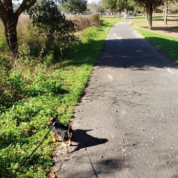 Jonesville Park - Parks Near Me - Gainesville, Florida