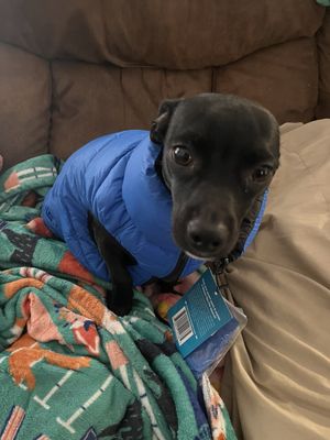 TJ MAXX - Updated January 2026 - 61 Photos & 29 Reviews - 1245 Bald