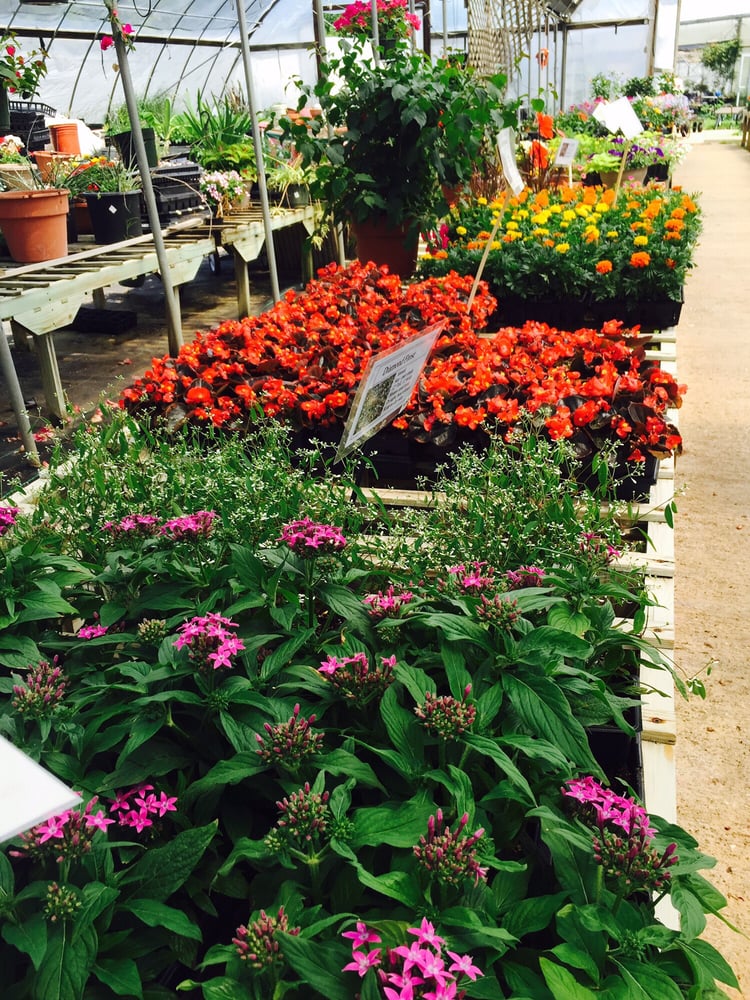 LOCKHART J R & SON NURSERY 15291 State Highway 155 S, Tyler, Texas