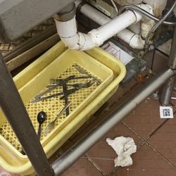 Buffalo Wild Wings - Where the roaches love to roam all over your dishes! Yummy.
