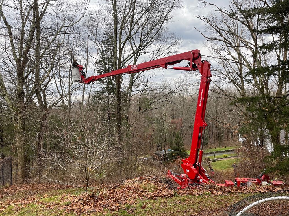 Schwartz Tree Care & Landscaping - tree service in Coventry, RI