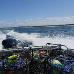Charleston Marina - Crabbing