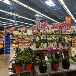 Save Mart - Floral