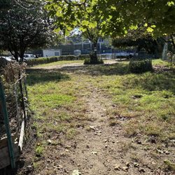 Bugsy's Dog Run - Bugsy's is still here!