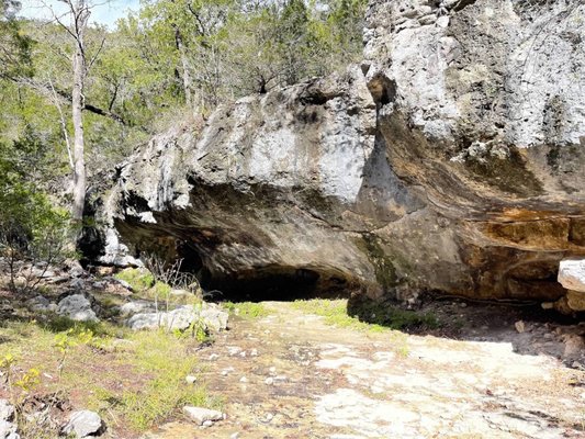 Lost Maples State Natural Area by null