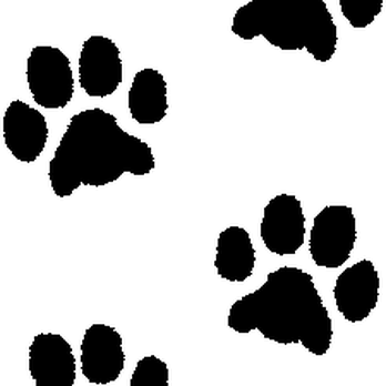 My Pets Comfort - Pet Sitting Near Me My Pets Comfort - Pet Sitting Near Me