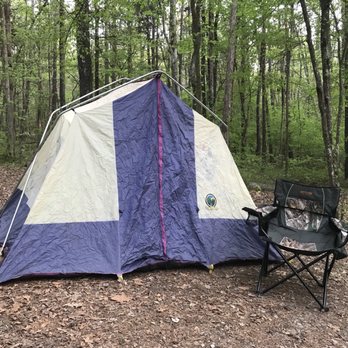 Andrew Jackson State Park - Tent Camping ( How cool is that) This is my home for the night - Parks Near Me - Lancaster, South Carolina
