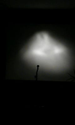 Theodore Bullfrog by null