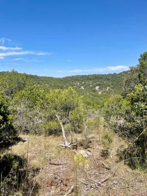 Wild Basin Wilderness Preserve by null