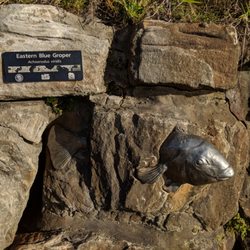 Cabbage Tree Bay Eco Sculpture Walk - Cabbage Tree Bay Eco Sculpture Walk 7/2018