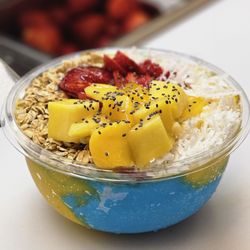 Essential Bowls