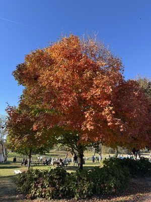 Waredaca Brewing Company by null