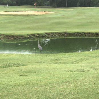 Lancaster Golf Club - Great Blue Herron - Golf Near Me - Springdale, South Carolina Lancaster Golf Club - Great Blue Herron - Golf Near Me - Springdale, South Carolina
