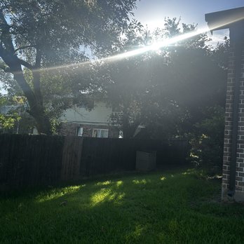 Four Seasons Tree Service - Before - Tree Services Near Me - Willis, Texas Four Seasons Tree Service - Before - Tree Services Near Me - Willis, Texas