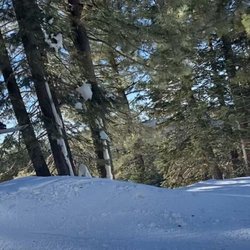 Potter's Mtn Sports
