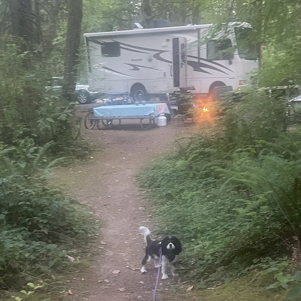 Lewis and Clark State Park - Lewis and Clark State Park, Winston, WA - August 20, 2025 - Parks Near Me - Winlock, Washington Lewis and Clark State Park - Lewis and Clark State Park, Winston, WA - August 20, 2025 - Parks Near Me - Winlock, Washington