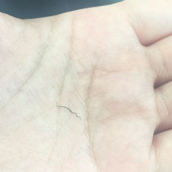 La Boba Cafe - Peice of metal in my drink??? - Cafes Near Me - Springfield, Missouri