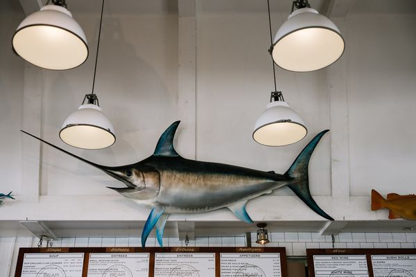 Bear Flag Fish Company by null