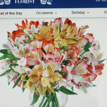 County Line Rose Florist - WHAT I ORDERED. Perfect Peruvian Lilies Deluxe ($71.95) - Florists Near Me - Hudson, Florida County Line Rose Florist - WHAT I ORDERED. Perfect Peruvian Lilies Deluxe ($71.95) - Florists Near Me - Hudson, Florida