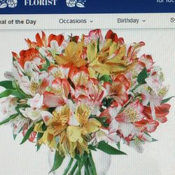 County Line Rose Florist - WHAT I ORDERED. Perfect Peruvian Lilies Deluxe ($71.95)