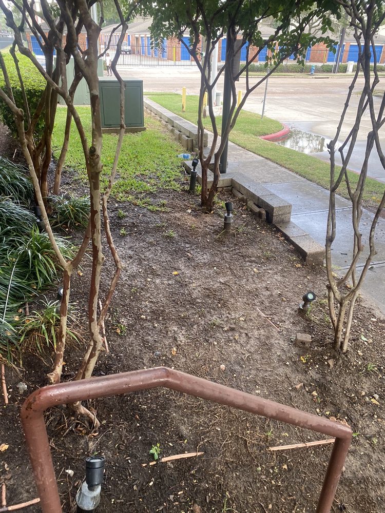 TARANTINO PROPERTIES Updated August 2024 19 Photos & 29 Reviews