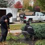 Doskoch Lawn Care