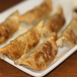 Dragon Best - Gyoza