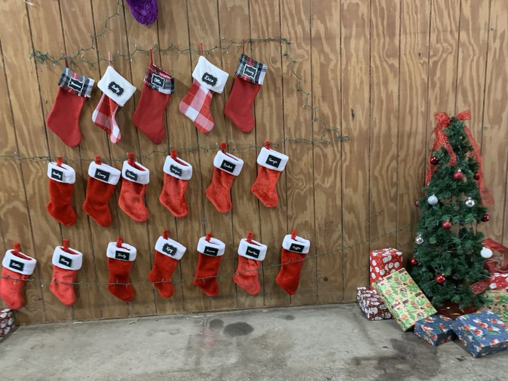 Licciardello Stables - equestrian in Lutz, FL