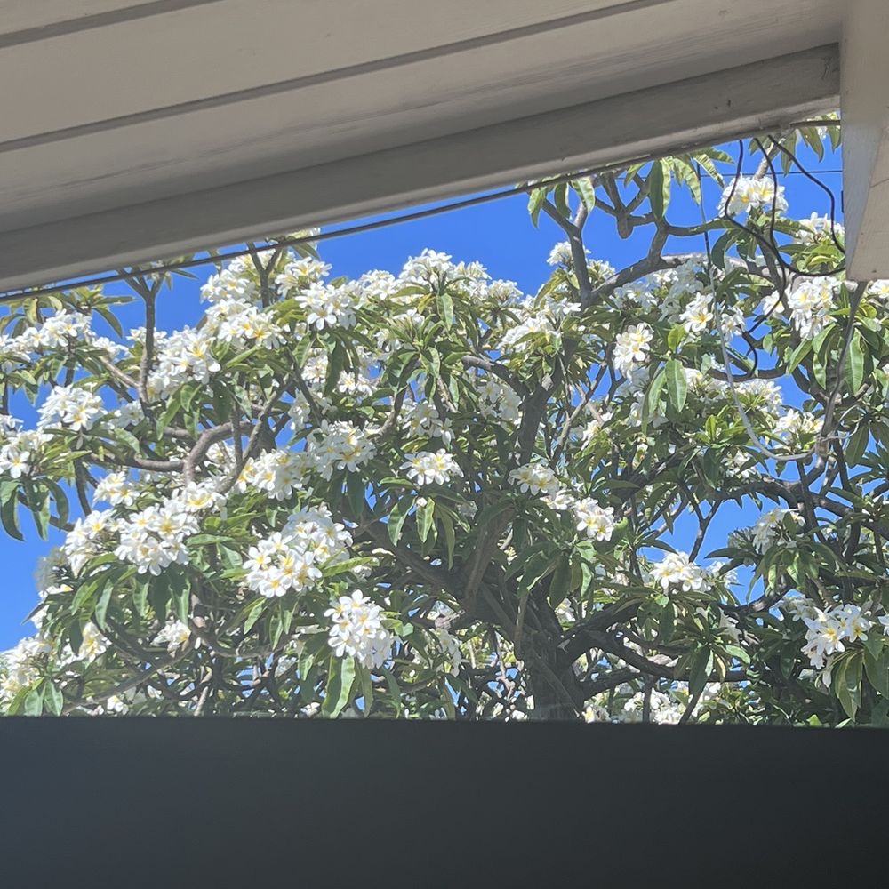 Wilson Window Cleaning - Crystal clear! - Window Washing Near Me Wilson Window Cleaning - Crystal clear! - Window Washing Near Me