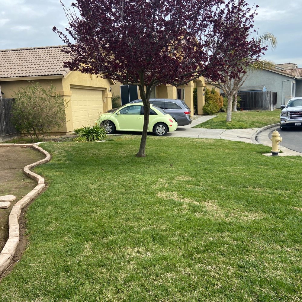 Santos Valley Landscape Design - Side view of before. - Landscaping Near Me Santos Valley Landscape Design - Side view of before. - Landscaping Near Me