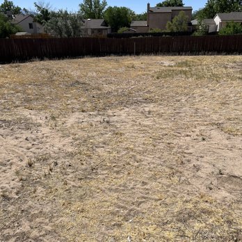 Alpha1 Sprinklers - Before 2 - An empty lot with sparse, dry grass and exposed dirt, bordered by a wooden fence, with residential houses and trees in the background. - Irrigation Near Me - Albuquerque, New Mexico