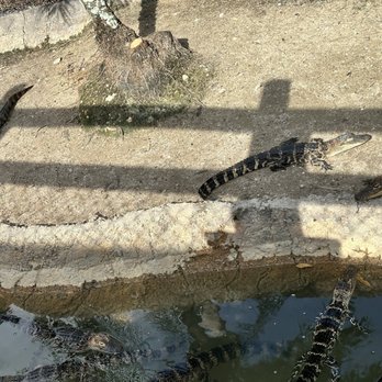 Congo River Golf - Mini Golf Near Me - Bonita Springs, Florida