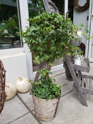 Le Jardin Français Boutique by null