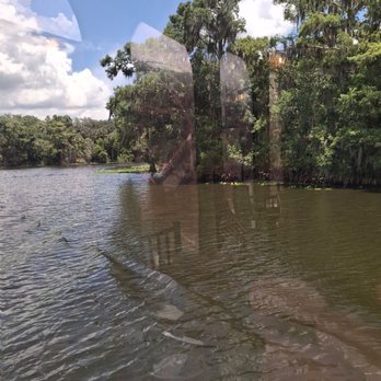 St Johns Rivership Company - View - Boat Tours Near Me - Sanford, Florida St Johns Rivership Company - View - Boat Tours Near Me - Sanford, Florida
