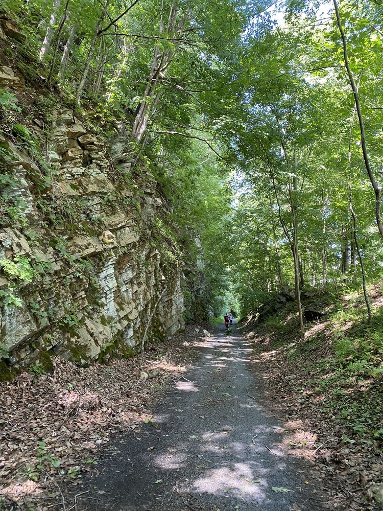 New River Trail State Park Logo