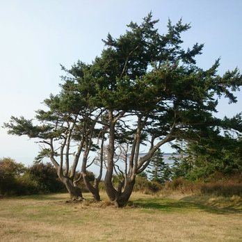 Fort Casey Historical State Park - Parks Near Me - Coupeville, Washington Fort Casey Historical State Park - Parks Near Me - Coupeville, Washington
