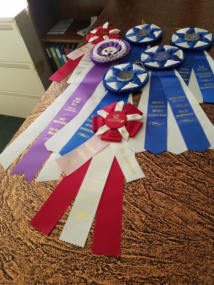 Vegas Valley Wildlife Studios - taxidermy in Las Vegas, NV