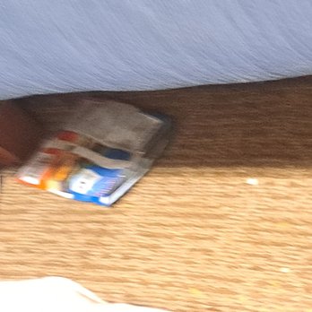 Quality Inn & Suites - Food and food wrapper under sofa sleeper. Discovered after opening aleeper. - Hotels Near Me - Dixon, Illinois Quality Inn & Suites - Food and food wrapper under sofa sleeper. Discovered after opening aleeper. - Hotels Near Me - Dixon, Illinois