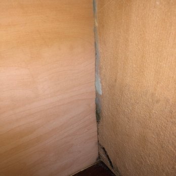 Progress Residential - mold under sink day of move in. - Real Estate Services Near Me - Charlotte, North Carolina