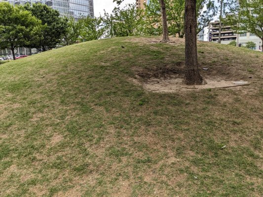 Civic Garden by null