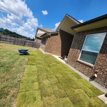 New Creation Landscaping - Bermuda grass installation - Landscaping Near Me New Creation Landscaping - Bermuda grass installation - Landscaping Near Me