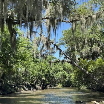 Louisiana Tour - Tours Near Me - Marrero, Louisiana Louisiana Tour - Tours Near Me - Marrero, Louisiana