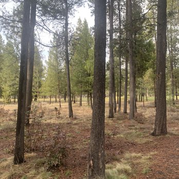Sunriver Resort - Walking - Resorts Near Me - Sunriver, Oregon
